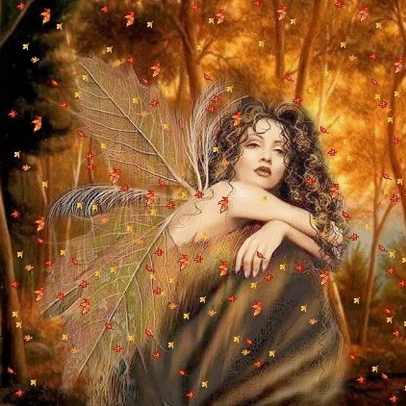 Meet your Posher, Katherine - Picture 1 of 2